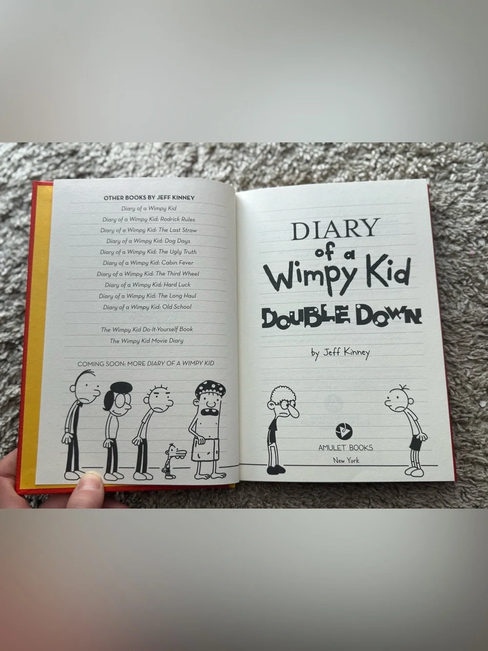 Diary of a Wimpy Kid Double Down Hardcover Book by Jeff Kinney
